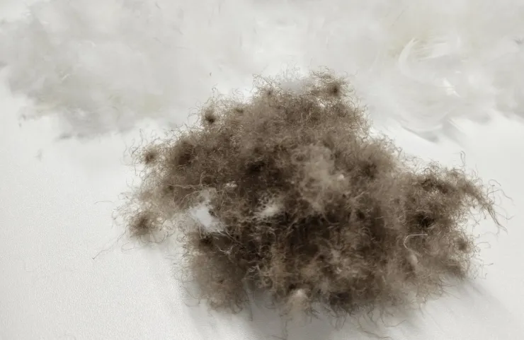 lose Daunen im Atelier auf dem Tisch